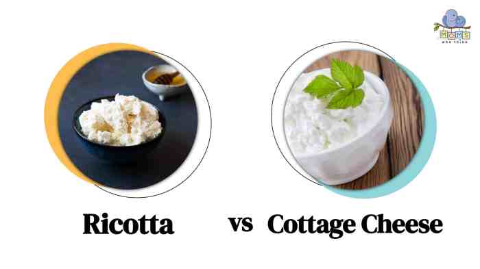 Ricotta cheese vs cottage cheese nutrition